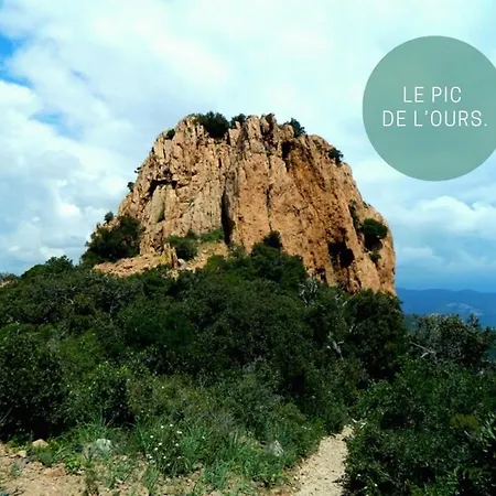 Apartment Rez De Jardin, Cap Esterel.